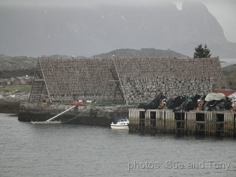 day4 0229.jpg - cod drying racks at Svolvaer